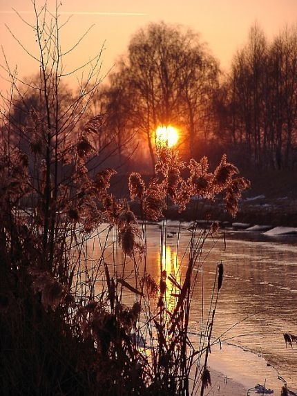 Bild: 3. Platz - B. Walther mit „Sonnenuntergang an der Schwarzen Elster in Plessa“