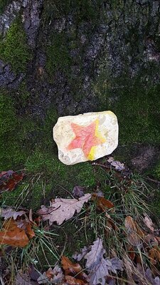 20221223 152926-kl  (Bild vergr&ouml;&szlig;ern)