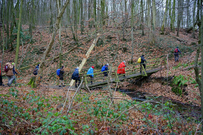 Br&uuml;cke &uuml;ber den Gelbbach  (Bild vergr&ouml;&szlig;ern)