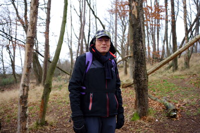 Wald zum S&uuml;llberg  (Bild vergr&ouml;&szlig;ern)