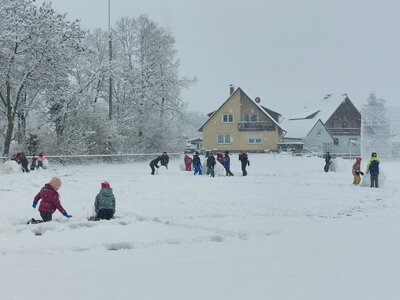 Foto des Albums: Schnee in Sulzheim (22.01.2023)