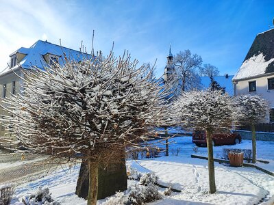 Foto des Albums: Königsbrück im Winter