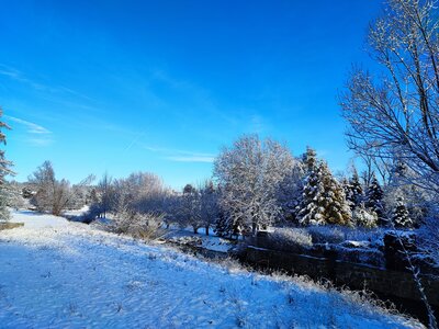 Foto des Albums: Königsbrück im Winter