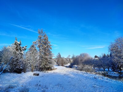 Foto des Albums: Königsbrück im Winter