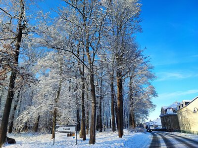 Foto des Albums: Königsbrück im Winter