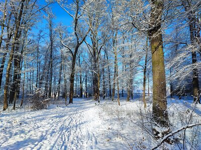 Foto des Albums: Königsbrück im Winter