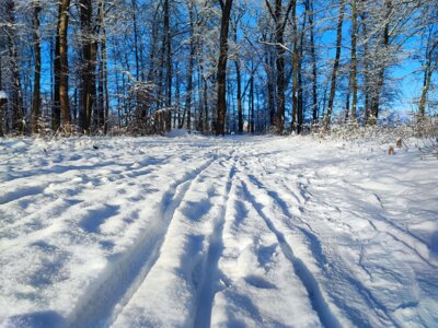 Foto des Albums: Königsbrück im Winter