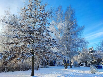 Foto des Albums: Königsbrück im Winter