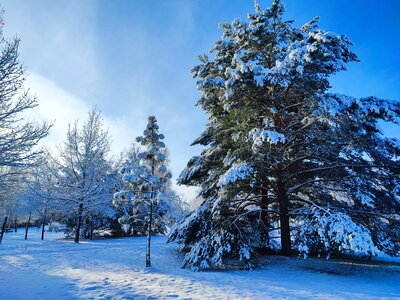 Foto des Albums: Königsbrück im Winter