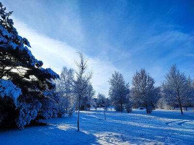 Foto des Albums: Königsbrück im Winter