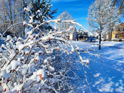 Foto des Albums: Königsbrück im Winter
