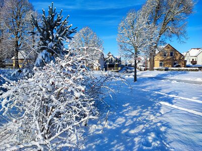 Foto des Albums: Königsbrück im Winter