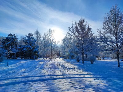 Foto des Albums: Königsbrück im Winter