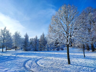 Foto des Albums: Königsbrück im Winter