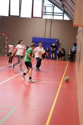 Foto des Albums: Fußball-Cup