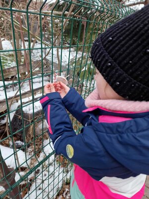 Foto des Albums: Vogelhäuschen bauen und gestalten