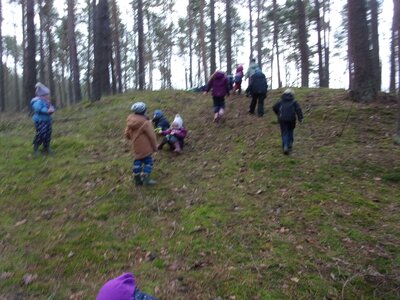 Foto des Albums: Fotos zum Rückblick der Igel-Gruppe Januar 2023 (01. 02. 2023)