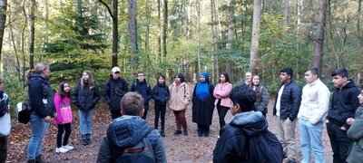 2 Im Wald 