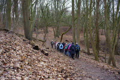 Ab in den Wald - Burgberg  (Bild vergr&ouml;&szlig;ern)