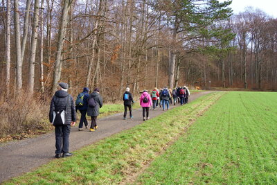 Waldrand Suerser Berg  (Bild vergr&ouml;&szlig;ern)