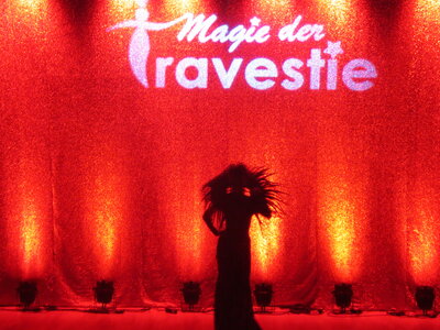 Foto des Albums: Magie der Travestie