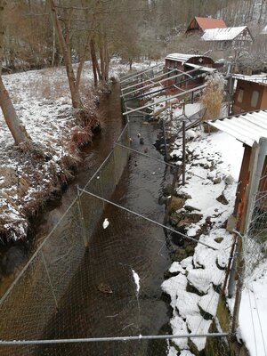 Foto des Albums: Grenzweg von Hohenberg a.d. Eger D nach Liba Cz