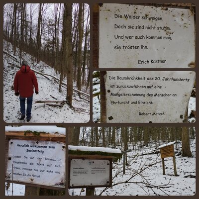 Foto des Albums: Grenzweg von Hohenberg a.d. Eger D nach Liba Cz