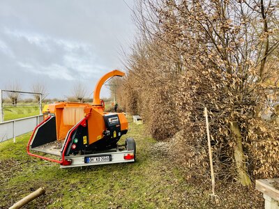 Foto des Albums: Platzarbeit