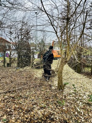 Foto des Albums: Platzarbeit