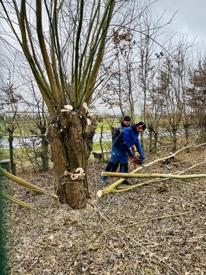 Foto des Albums: Platzarbeit