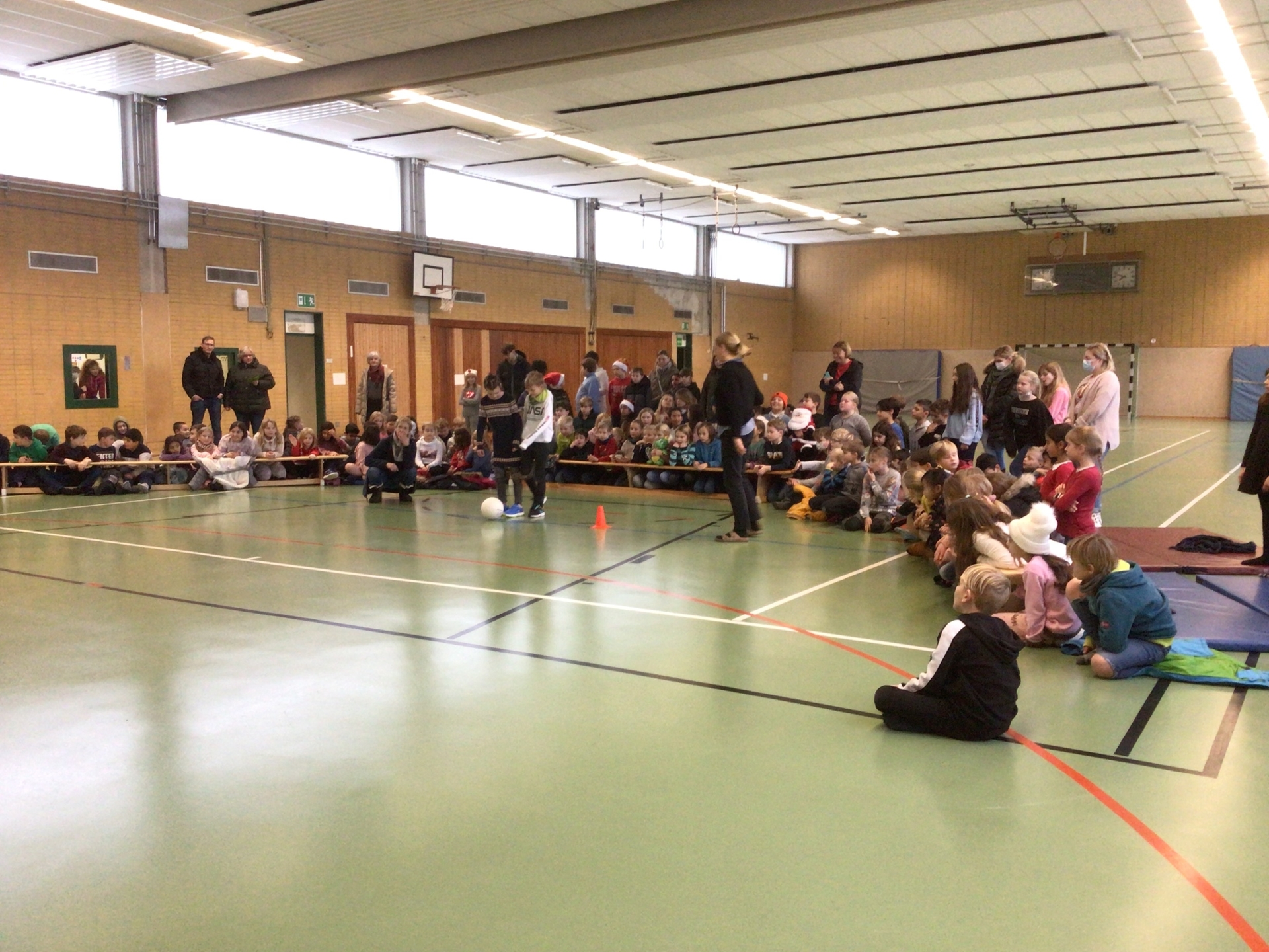 Bild der Galerie