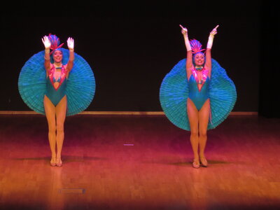 Foto des Albums: Uwe Jensen Show zum 50.Bühnenjubi-läum