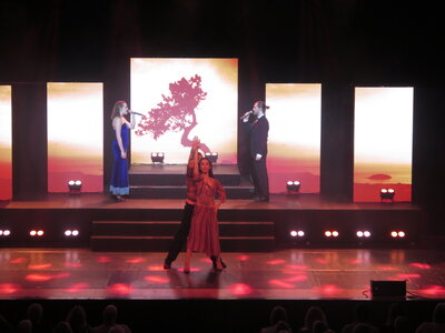 Foto des Albums: World of Musicals