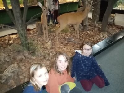 Foto des Albums: Winterferien 2023