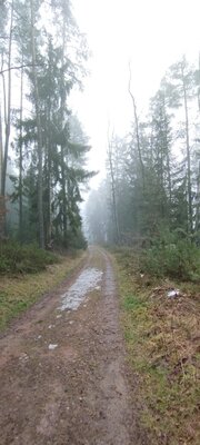Foto des Albums: Rundwanderung bei Leonberg nahe Mitterteich