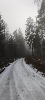 Foto des Albums: Rundwanderung bei Leonberg nahe Mitterteich