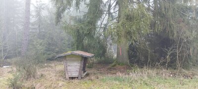 Foto des Albums: Rundwanderung bei Leonberg nahe Mitterteich