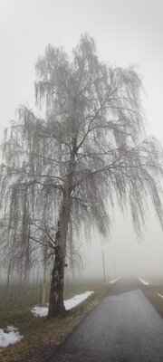 Foto des Albums: Rundwanderung bei Leonberg nahe Mitterteich