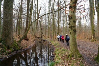 Am Landwehrgraben  (Bild vergr&ouml;&szlig;ern)