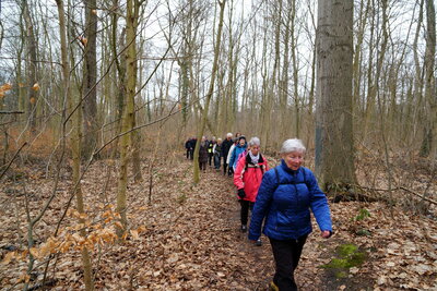 Bereich Wolfsgraben  (Bild vergr&ouml;&szlig;ern)