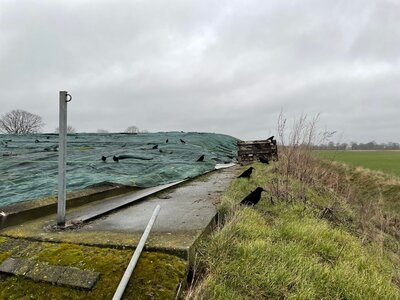 Foto des Albums: Rabenvogeljagd Hegering IX 2023 (20. 02. 2023)