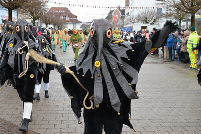 Foto des Albums: 60 Jahre Buchauer Moorochsenfasnet mit Gabeltreffen