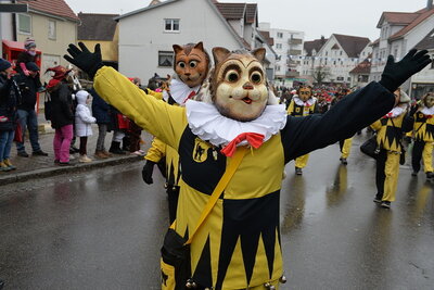 Foto des Albums: 60 Jahre Buchauer Moorochsenfasnet mit Gabeltreffen
