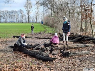 Gern spielen die Kinder bei und auf den alten Holzst&auml;mmen.  (Bild vergr&ouml;&szlig;ern)