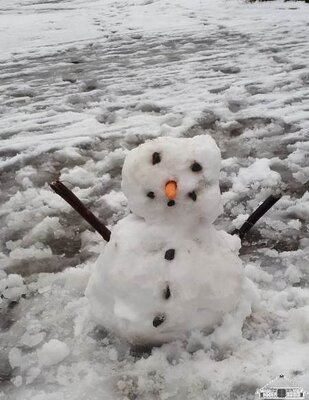 Mit dem ersten Schnee entstanden kleine Schneem&auml;nner...  (Bild vergr&ouml;&szlig;ern)