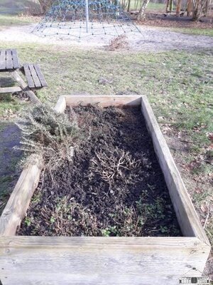 Im Schulgarten wird schon flei&szlig;ig gearbeitet und vorbereitet.  (Bild vergr&ouml;&szlig;ern)