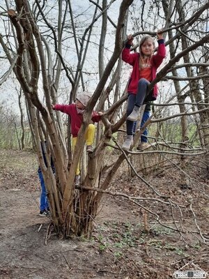 In den Pausen freuen sich die Kinder &uuml;ber unser gr&uuml;nes Klassenzimmer, was sich auch super zum Klettern eignet.  (Bild vergr&ouml;&szlig;ern)