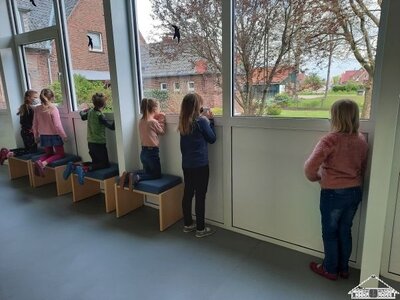 Die Kinder der Klassen E1 und E2 beteiligen sich an der Vogelz&auml;hlstunde des NABU.  (Bild vergr&ouml;&szlig;ern)