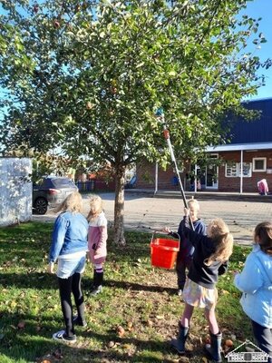 Die Umweltkids in Aktion: Die &Auml;pfel auf unserem Schulgel&auml;nde wurden gesammelt und konnten in den Pausen von  den Kindern aller Klassen mit Spiralschneidern gesch&auml;lt und geschnitten werden.  (Bild vergr&ouml;&szlig;ern)