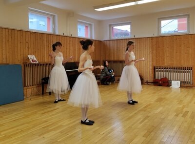 Foto des Albums: Kindergartenkonzert in Parchim